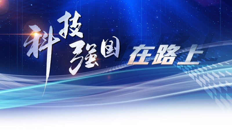 政务云运维服务合同的核心条款解析