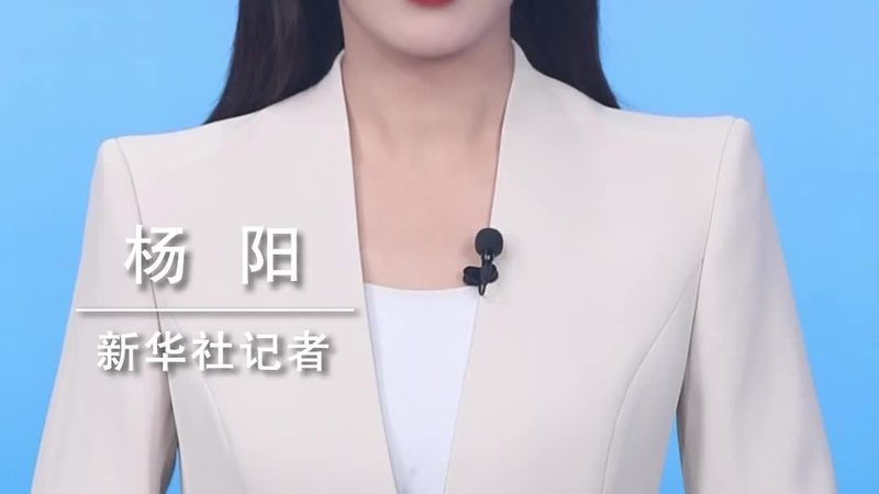 系统集成项目经理岗位职责说明书：关键职责与能力解析
